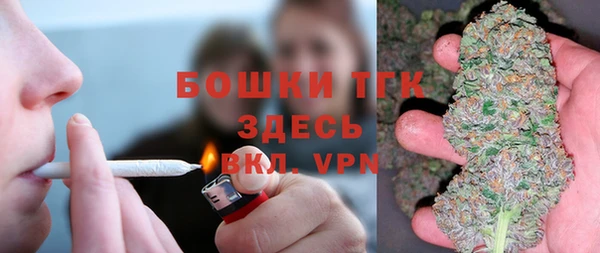индика Балабаново