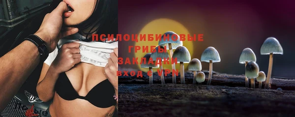 индика Снежинск