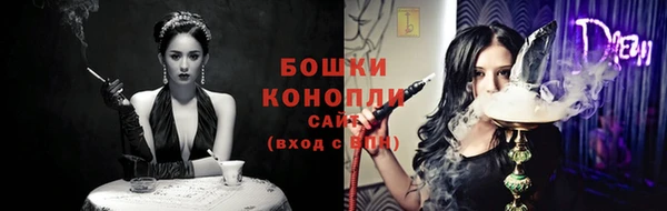 индика Балабаново