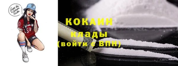 индика Балабаново