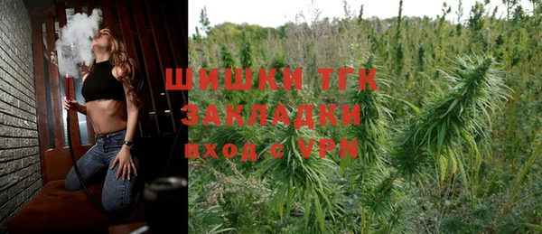 индика Балабаново