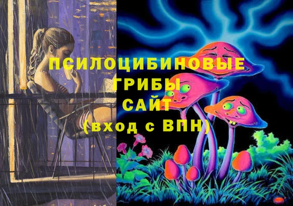 бошки Балахна