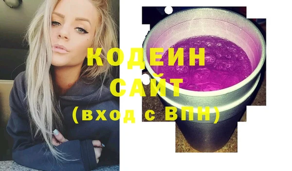 индика Балабаново
