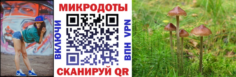 сайты даркнета состав  ОМГ ОМГ ссылки  Ершов  Галлюциногенные грибы Cubensis 